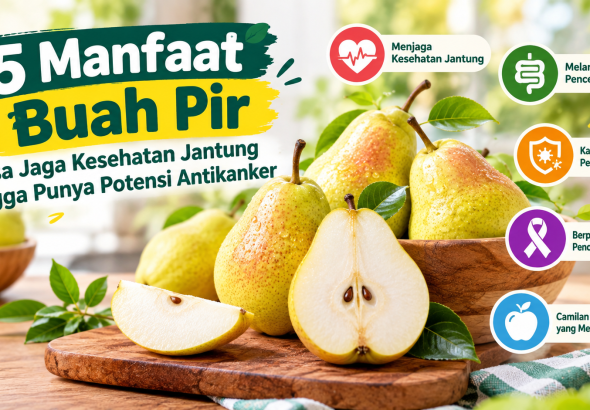 Buah Pir Ternyata Punya 5 Manfaat Ini, Bisa Dukung Kesehatan Jantung hingga Usus