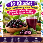 manfaat buah jambalang