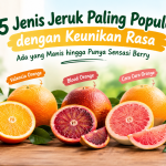 jenis jeruk paling populer