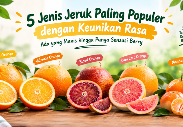 jenis jeruk paling populer