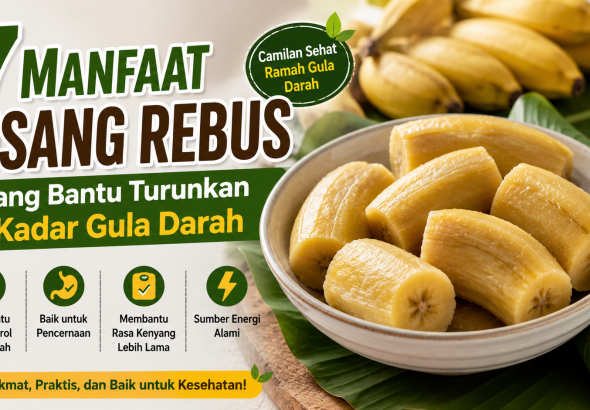 manfaat pisang rebus