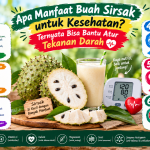 manfaat buah sirsak