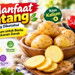manfaat kentang