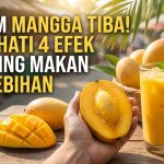 efek samping makan mangga berlebihan