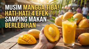 efek samping makan mangga berlebihan