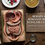 berapa lama makanan bertahan di dalam lambung Salin keyword utama