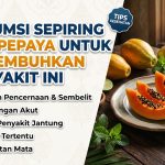 manfaat buah pepaya