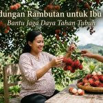 kandungan rambutan untuk ibu hamil