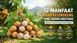 12 Manfaat Buah Kelengkeng yang Jarang Diketahui, Bukan Cuma Manis dan Segar
