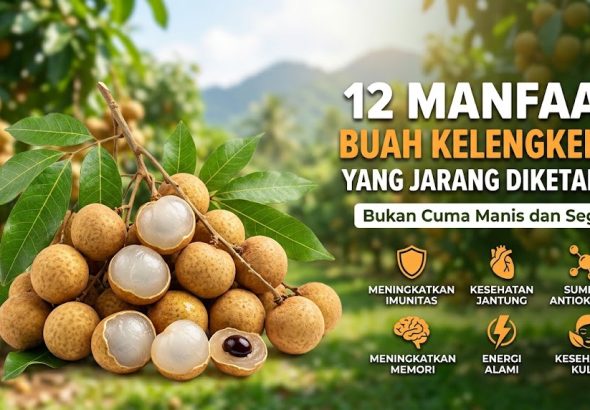 12 Manfaat Buah Kelengkeng yang Jarang Diketahui, Bukan Cuma Manis dan Segar