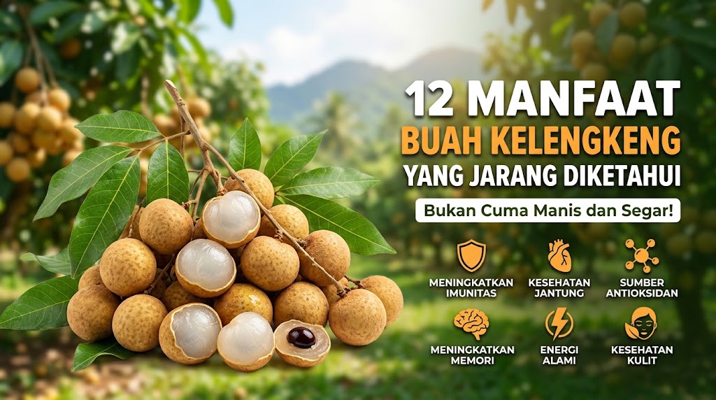 12 Manfaat Buah Kelengkeng yang Jarang Diketahui, Bukan Cuma Manis dan Segar